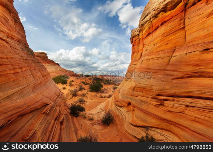 Coyote Buttes of the Vermillion Cliffs Wilderness Area, Utah and Arizona