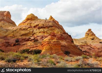 Coyote Buttes of the Vermillion Cliffs Wilderness Area, Utah and Arizona