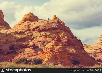 Coyote Buttes of the Vermillion Cliffs Wilderness Area, Utah and Arizona