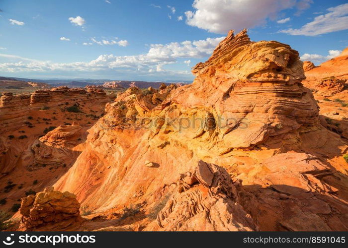 Coyote Buttes of the Vermillion Cliffs Wilderness Area, Utah and Arizona