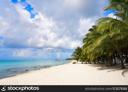 Cozumel island beach in Riviera Maya of Mayan Mexico