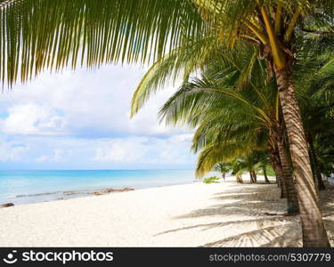 Cozumel island beach in Riviera Maya of Mayan Mexico