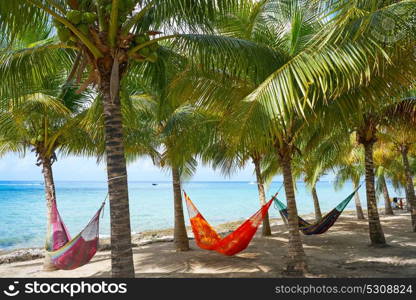 Cozumel island beach palm tree hammocks in Riviera Maya of Mexico