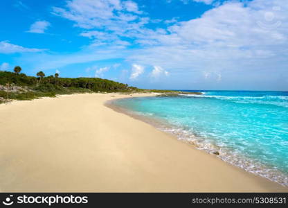Cozumel island Bush beach in Riviera Maya of Mayan Mexico