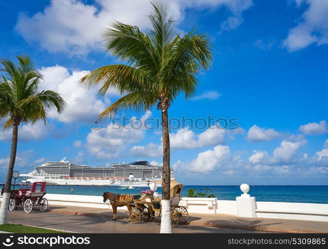 Cozumel island horse carriage and cruise in Riviera Maya of Mexico