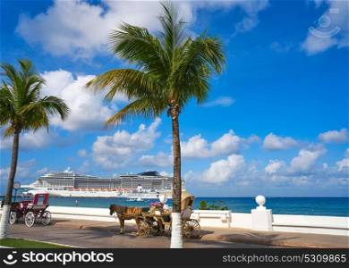 Cozumel island horse carriage and cruise in Riviera Maya of Mexico