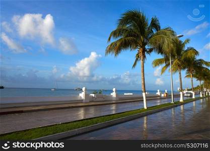 Cozumel palm trees promenade and Caribbean in Riviera Maya of Mexico