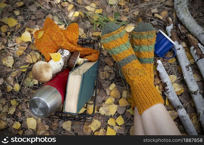 cozy autumn - girl resting in nature. woolen socks, a thermos with a cup, a book and mushrooms in the basket