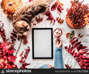 Cozy autumn mood concept. Female hand with cup of cappuccino on white blanket with empty letter board, cat, pumpkin, red fall branches and leaves, autumn flowers and bokeh.Top view. Frame. Cozy home