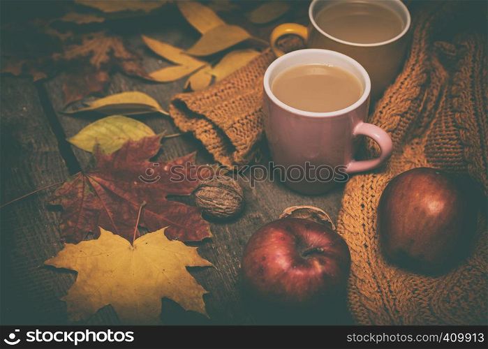 cozy autumn tea - tea with milk, apples, nuts and a warm sweater