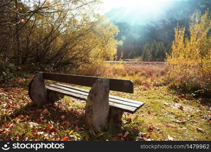 cozy bench in the mountains on the shore of a mountain lake