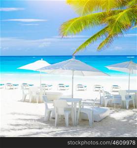Cozy cafe on sandy sea shore, beautiful sea landscape, clean white chairs and tables under umbrellas, fresh green palm tree, luxury tropical resort, summer vacation concept&#xA;