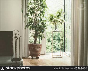 Cozy home interior design with house plants at window. Living room plants