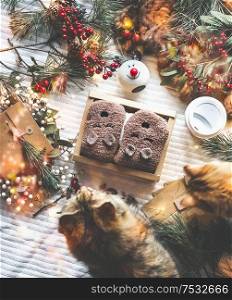 Cozy winter and Christmas concept. Holiday home scene of gift box with warm teddy-bear socks, two cats, winter decorations, candles, pine branches and fairy lights on white blanket , top view