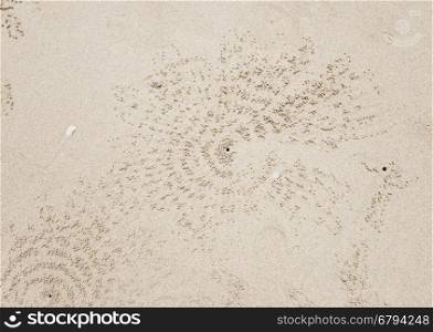 crab hole background texture wallpaper . crab hole background texture