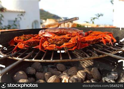 crab on charcoal grill