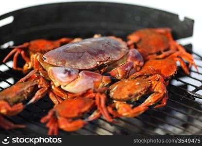 crab on charcoal grill