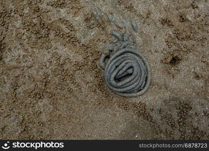 crabs holes on the beach with sand heap