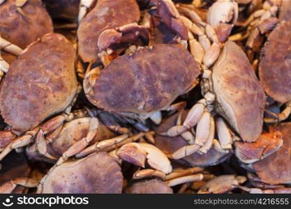 Crabs on displat at the seafood market.