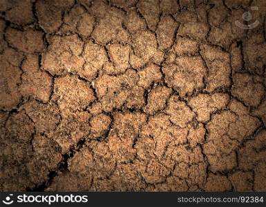 Crack soil on dry season. Dried cracked earth soil ground texture background.