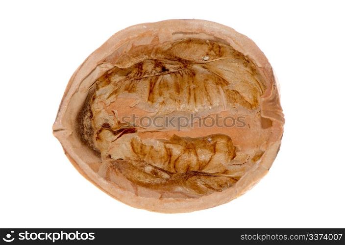 Crack walnut isolated on a white background.