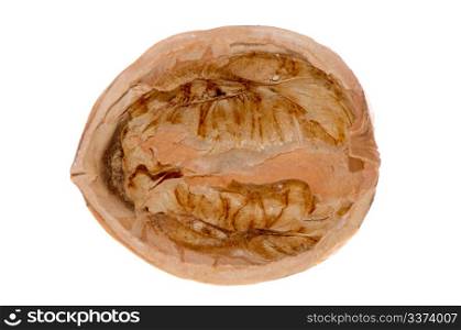Crack walnut isolated on a white background.