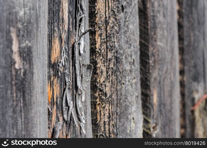 cracked aged weathered wooden boards, selective focus