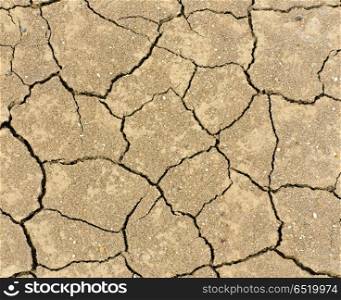 Cracked and dried ground