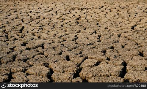 Cracked and dry soil in arid areas landscape