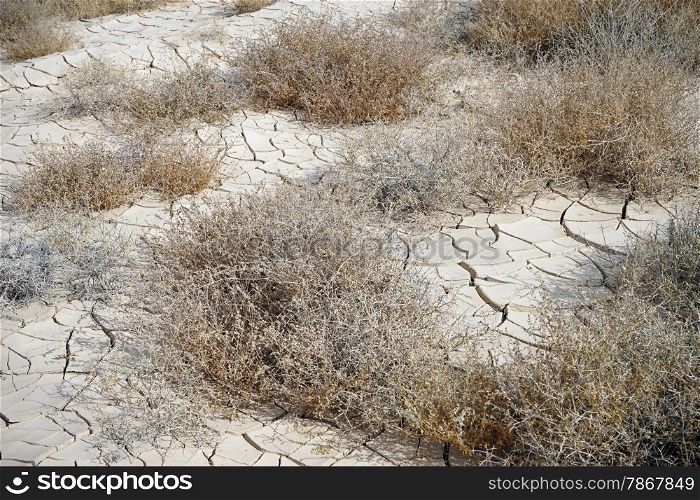 Cracked dry clay in the Negev desert, Israel