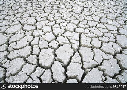 Cracked dry earth