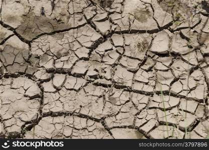 Cracked dry soil at summer in field
