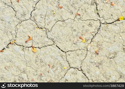 Cracked earth