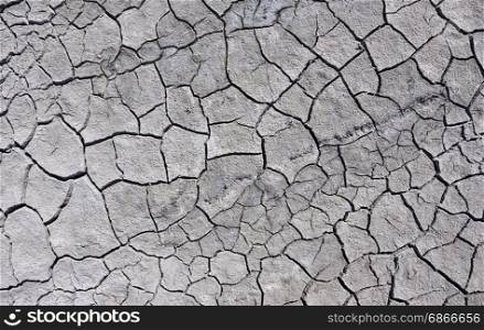Cracked earth on a summer day, top view, summer day