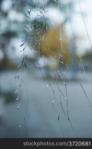 Cracked glass and city background