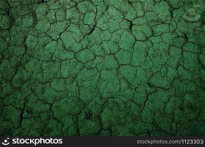 Cracked green leather