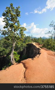 Cracked ground at the high mountain in thailand