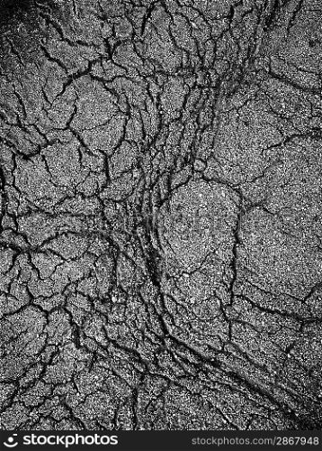 Cracked soil