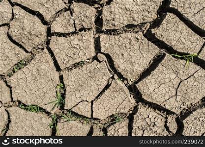 Cracked soil from drought