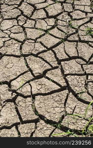 Cracked soil from drought