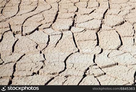 Cracked soil in the desert. Cracked soil
