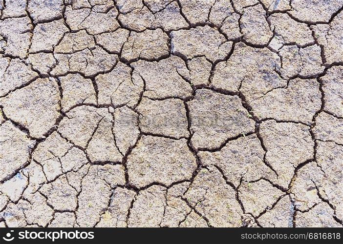Cracked soil surface in dry season, brown tone texture background