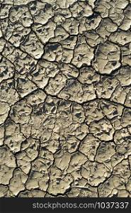 Cracked soil texture. Hard shadows and sun. Dried ground. Pattern of many cracks for background.