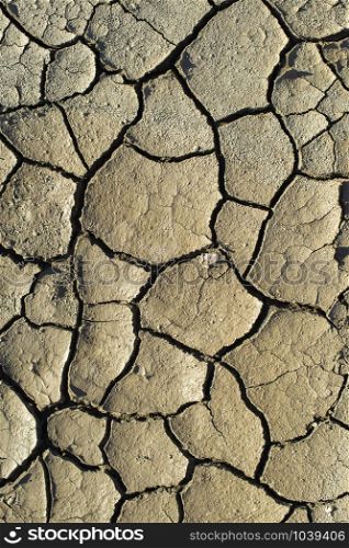 Cracked soil texture. Hard shadows and sun. Dried ground. Pattern of many cracks for background.