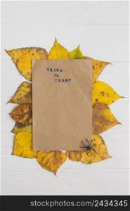 craft paper placed leaves near spider