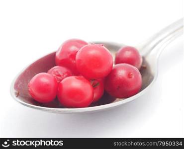 cranberries and spoon on a white background