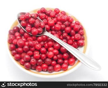 cranberries in a bowl on a white background
