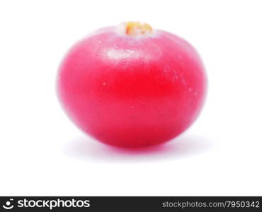 cranberries on white background