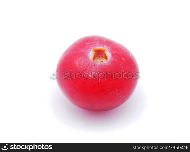 cranberries on white background