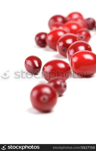 Cranberries on white background - studio shot